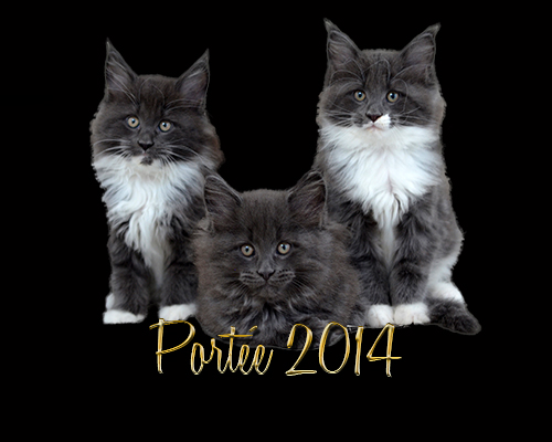 Portee 2014