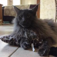 Jean Fizz - 1 an et 5 mois