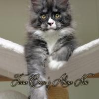 Ahora Nui - 12 semaines