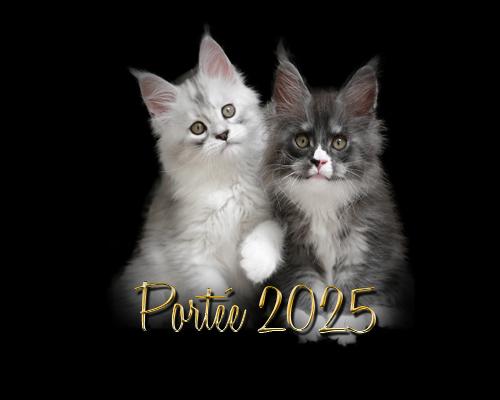 Portee 2016montagr